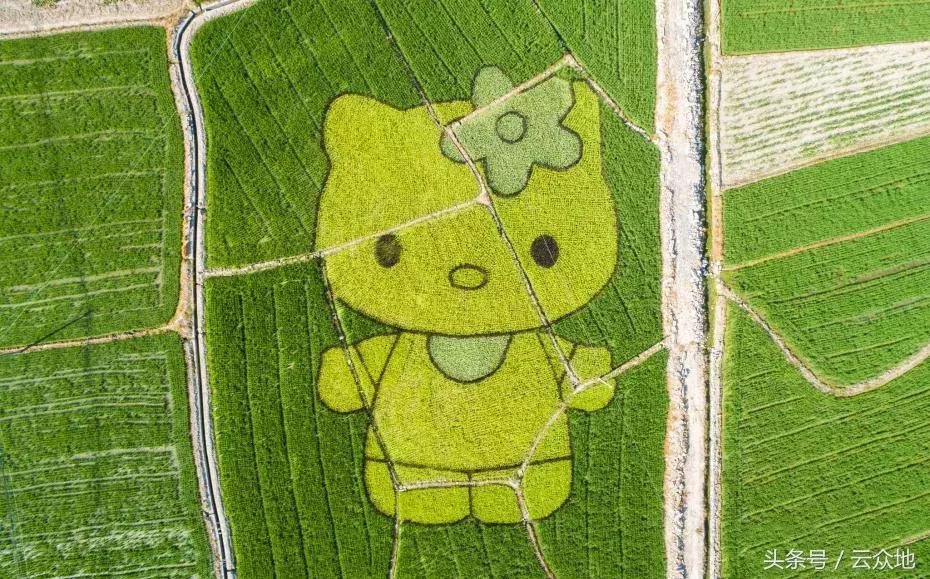 小巷深處的寶藏小店，最新賺錢創(chuàng)意大揭秘