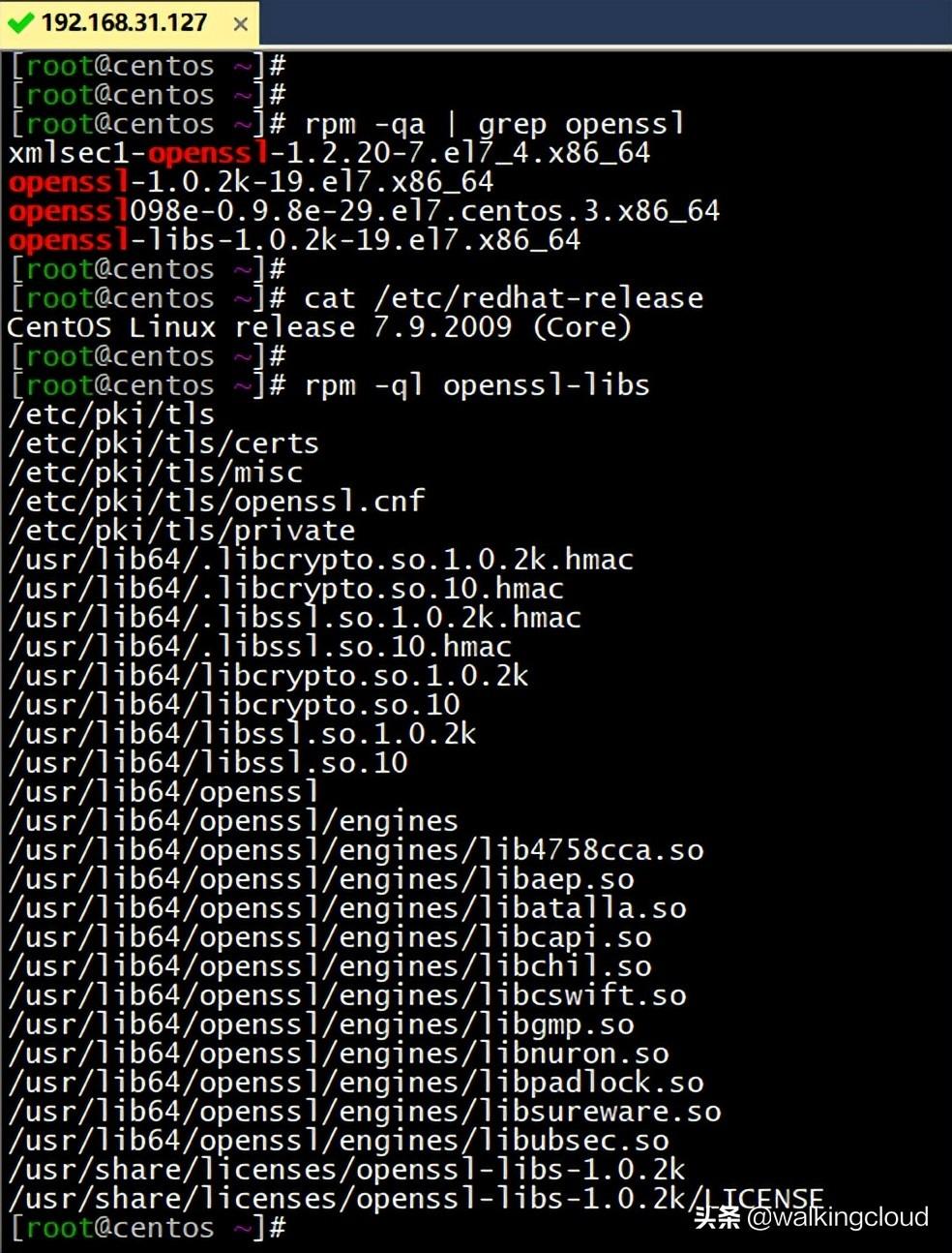 CentOS最新版，引領(lǐng)時(shí)代技術(shù)革新