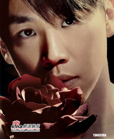 陶喆全新專輯自然之旅，探尋內(nèi)心寧靜的旋律呼喚