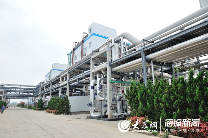 定陶賽托生物上市，變化中的學習成就自信與輝煌