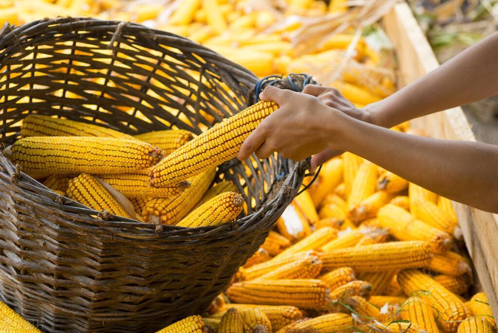 三月行情，時尚與投資完美交融的時刻