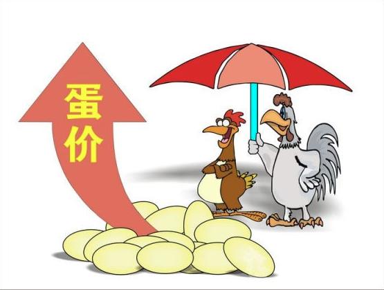 豬肉價(jià)格背后的友情與家庭故事