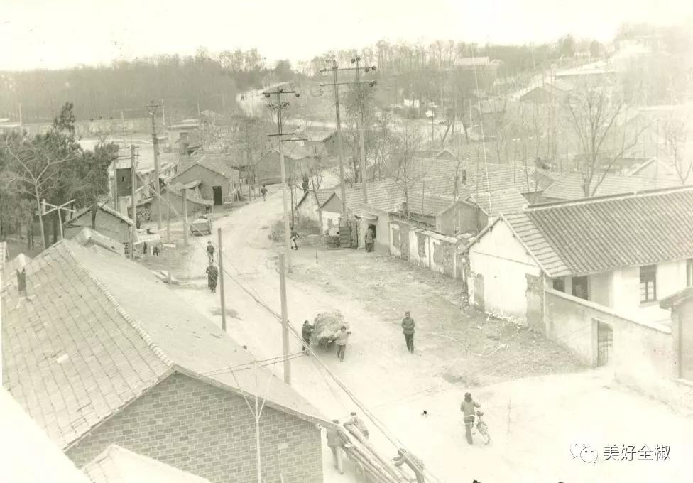 全椒縣最新動態(tài)概覽??