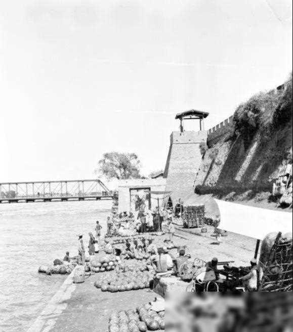 最新軍閥片，日常與友情交織的溫暖故事