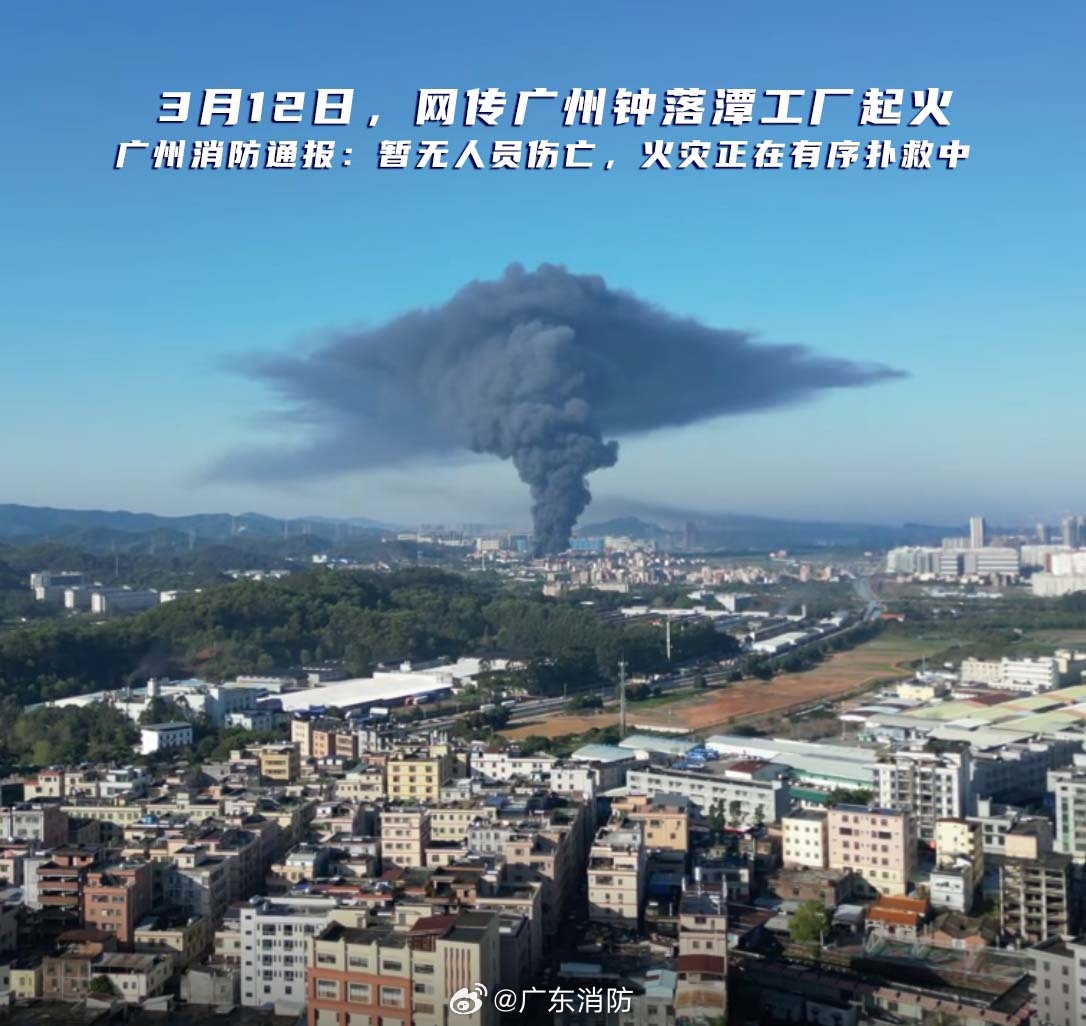 端州火災最新情況及分析報告