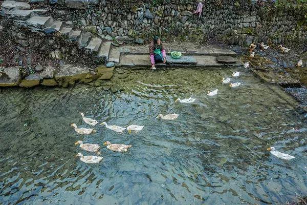 丁志華，閃耀光芒，引領(lǐng)時代新潮流