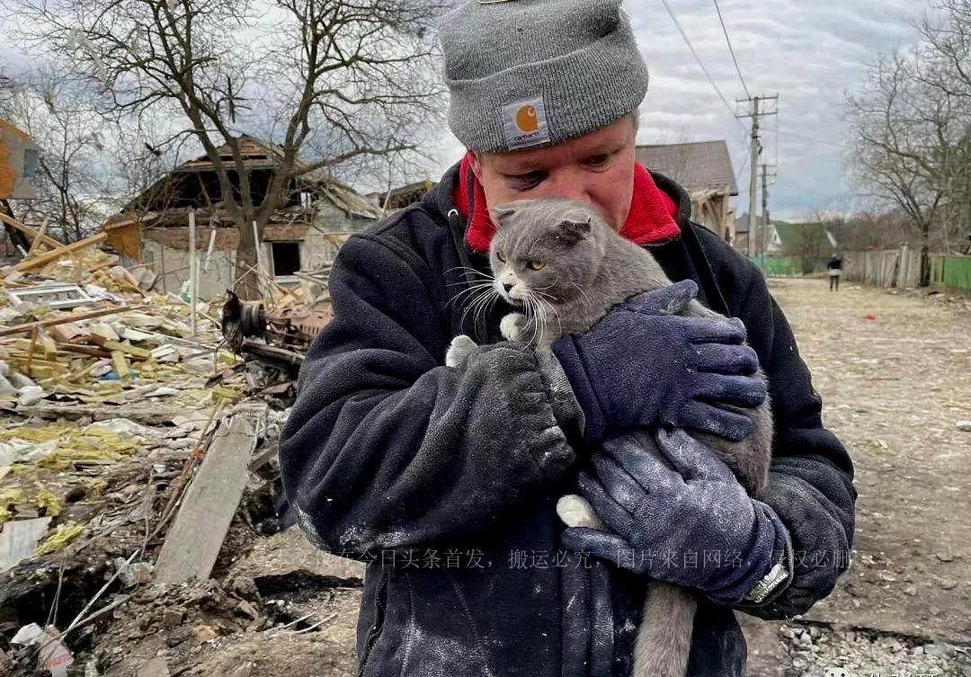 揭秘最新套路招數(shù)，深度探討與實戰(zhàn)解析