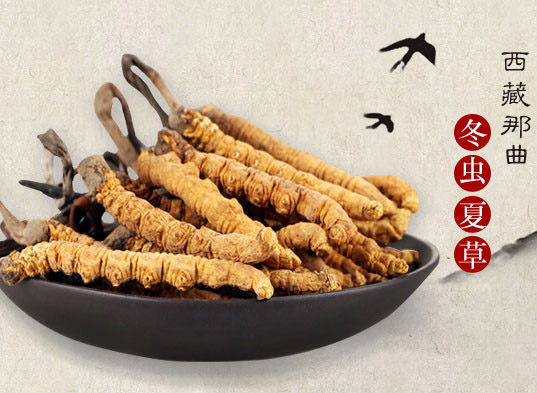 那曲蟲草最新價(jià)格動態(tài)，學(xué)習(xí)成長與自信成就感的源泉