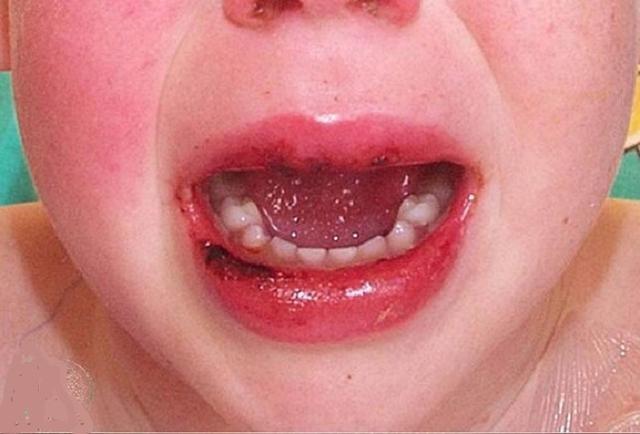 冠肺最新通報，自然美景探索之旅的心靈寧靜之旅