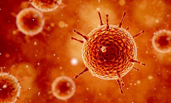 揭秘最新版病毒，背景、重大事件及其影響