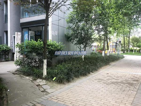 探索新時代的變遷與機(jī)遇，最新進(jìn)出肖動態(tài)報道