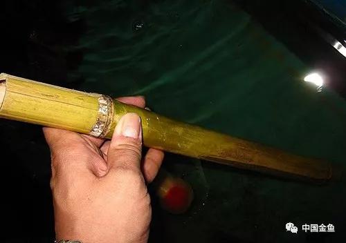 養(yǎng)魚最新工具概覽，創(chuàng)新產品助力養(yǎng)魚事業(yè)?