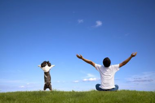 月丘最新視頻，高科技重塑生活，體驗未來科技的魅力