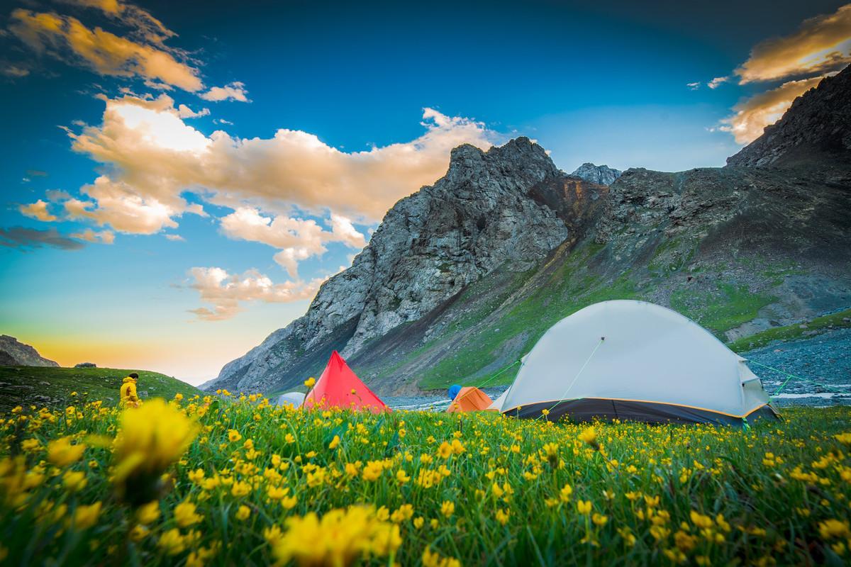 芳草冰視最新，任務(wù)完成與技能學(xué)習(xí)詳細(xì)步驟指南