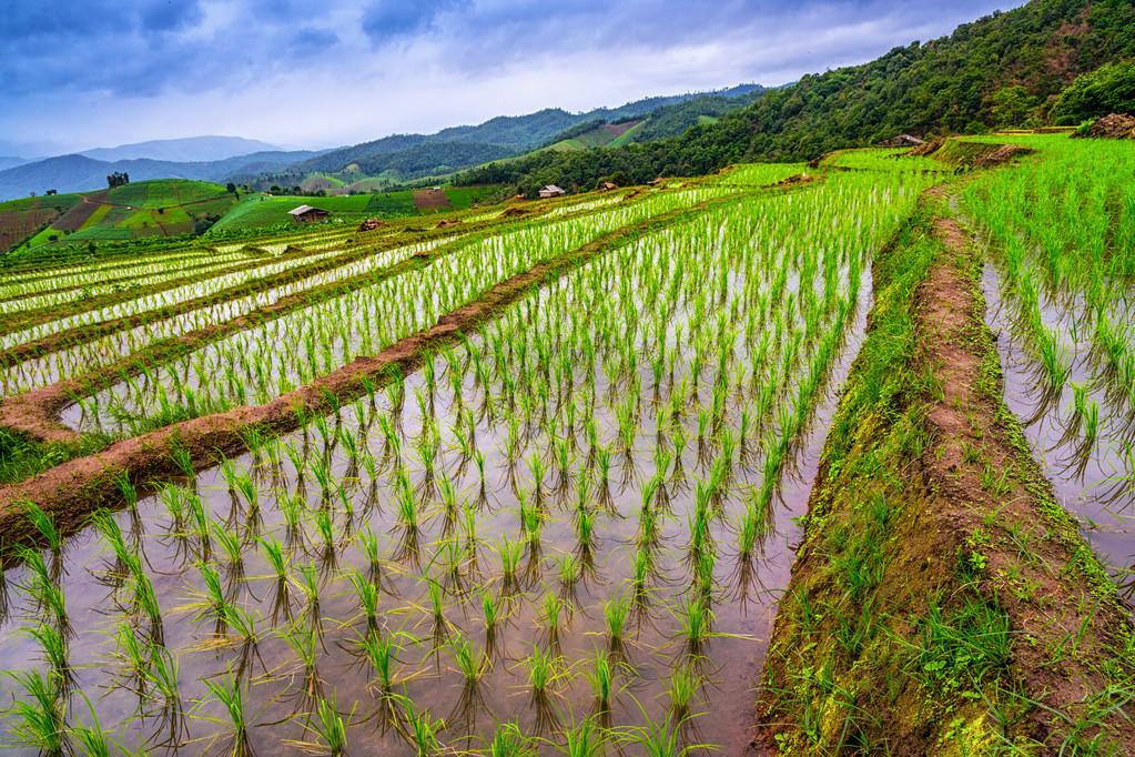 疫情控制最新動態(tài)更新，最新進(jìn)展與趨勢分析