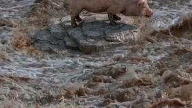 江西發(fā)大水最新情況更新