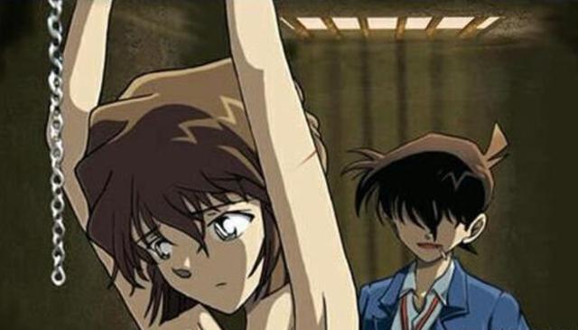 灰原最新動(dòng)態(tài)揭秘，開(kāi)啟新篇章的探索之旅