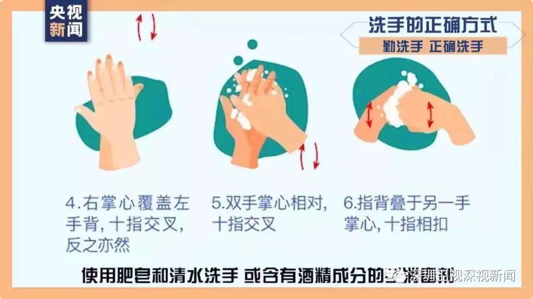 冠狀最新動態(tài)，背景、進展與全球影響