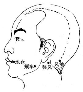 最新經(jīng)絡(luò)療法，開啟健康之旅的秘訣??