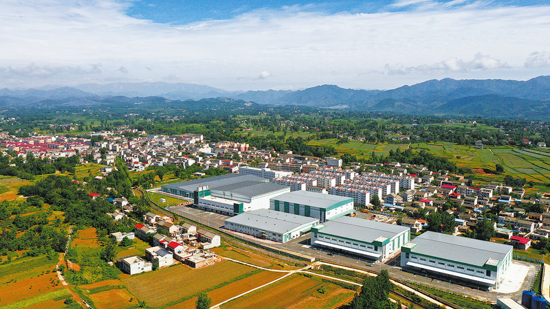 洛南最新項目步驟指南及概述