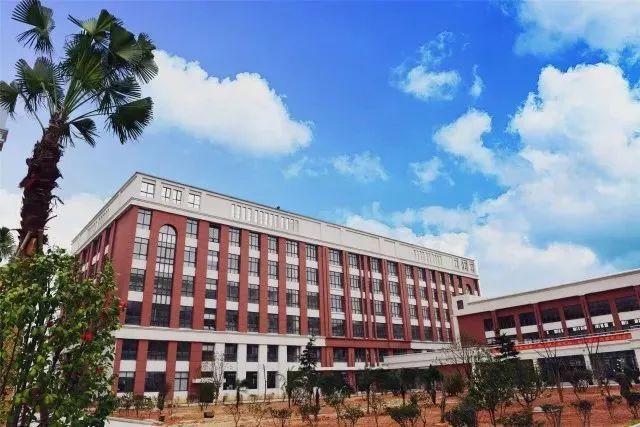 溫州最新動(dòng)態(tài)，城市變遷中的學(xué)習(xí)之光