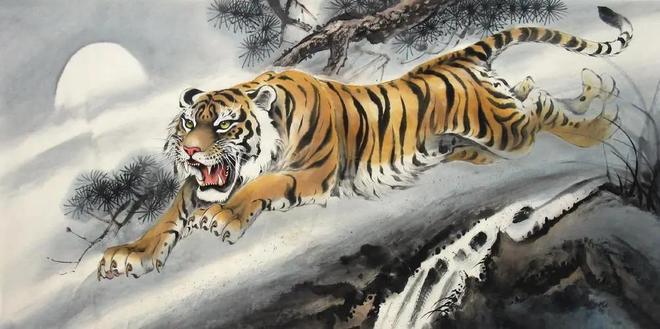 四虎之力新紀(jì)元，探索潛能與力量的無限可能