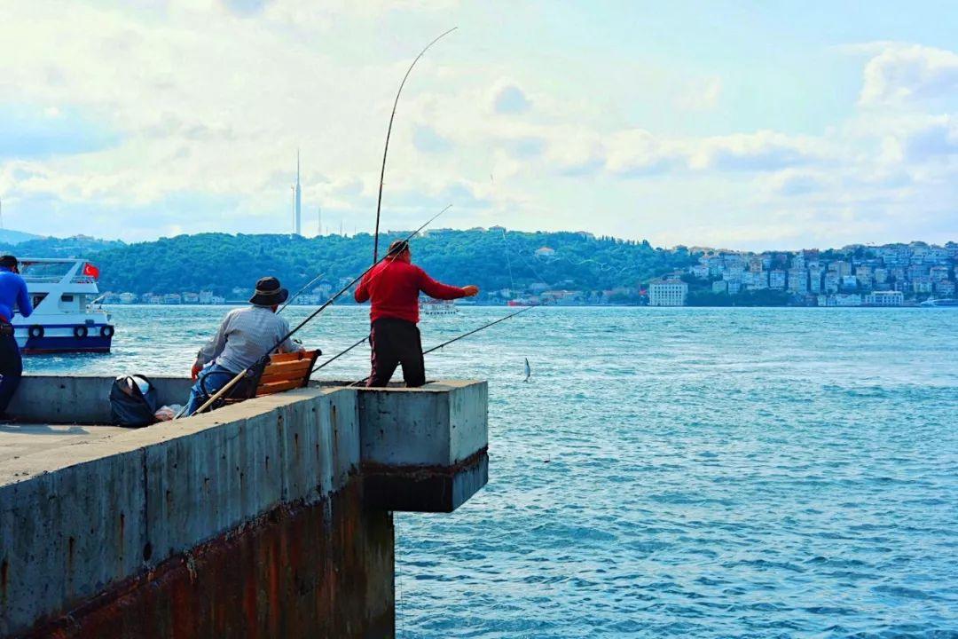 抖音最新流量趨勢洞察，機(jī)遇與挑戰(zhàn)并存