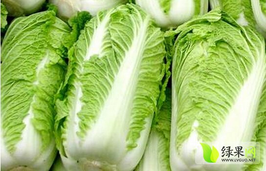 白菜今日最新價(jià)格及市場走勢多元觀點(diǎn)探討
