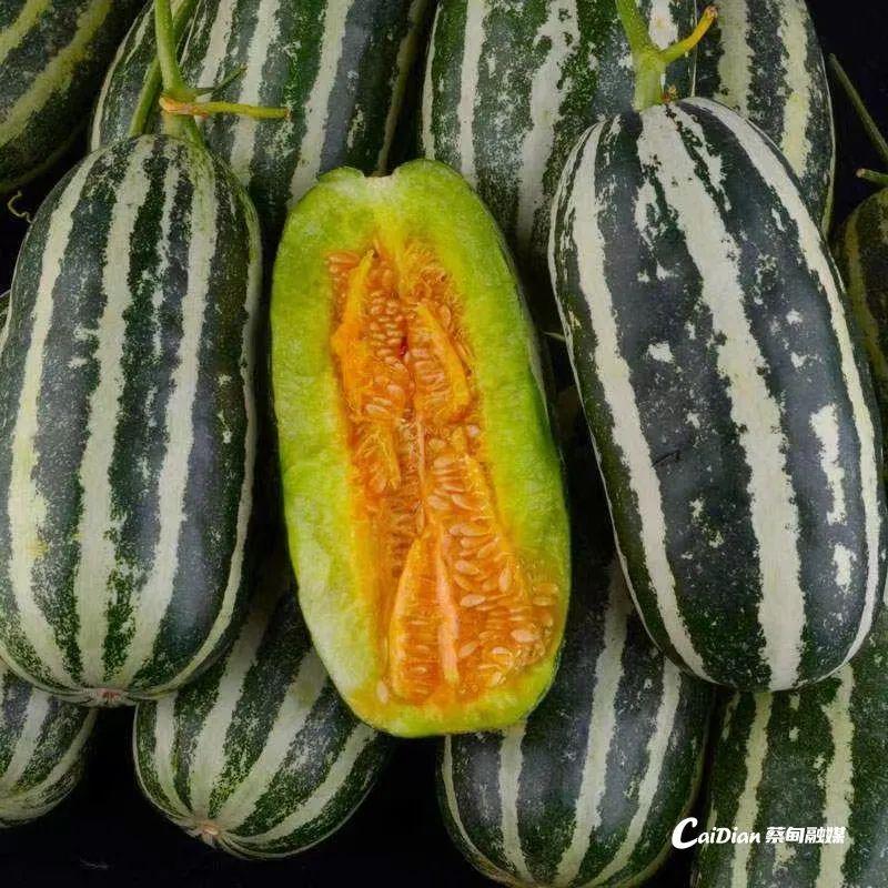 網(wǎng)紅最新瓜，一場溫馨有趣的日常故事揭秘