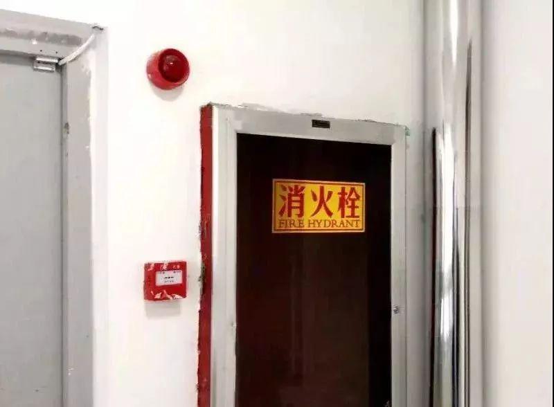 時代背景下的涂界新星，最新網紅涂料亮相！