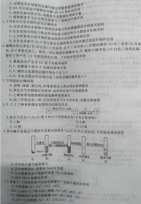 最新概念答案，擁抱變化，自信成就夢想之旅