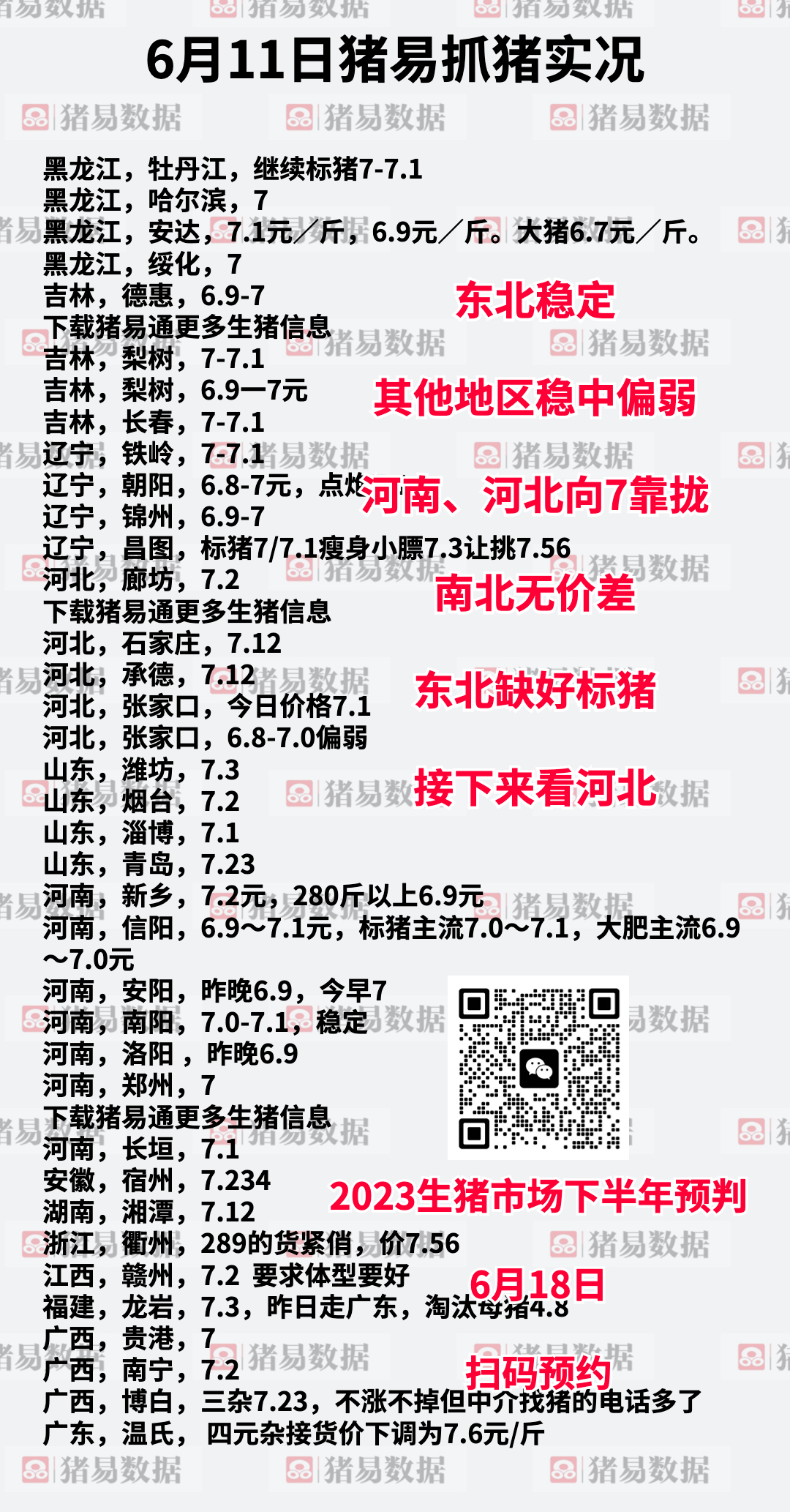 沙灘最新豬價行情與尋找內(nèi)心平靜的自然美景之旅