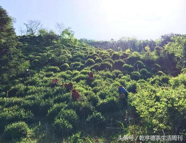 宣城新冠病毒防護(hù)指南，最新防護(hù)策略及應(yīng)對(duì)方法