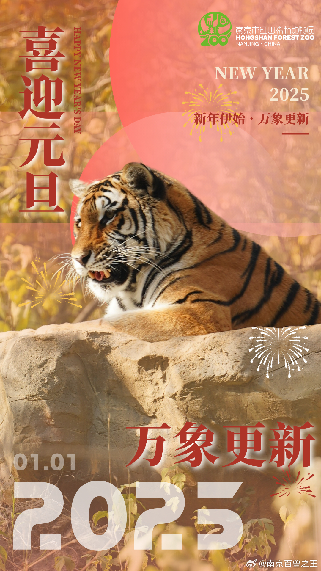 最新年伊始，完成某項任務(wù)或?qū)W習(xí)某種技能的詳細(xì)步驟指南