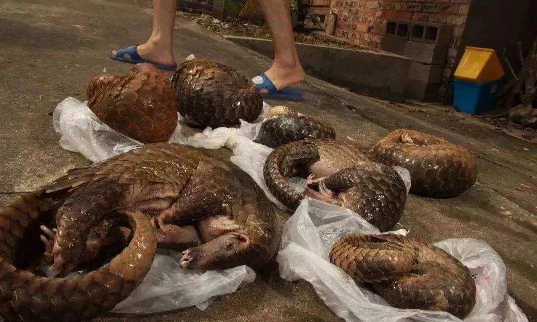 管軼最新證據(jù)揭示，變化是成長(zhǎng)的催化劑，學(xué)習(xí)自信之源