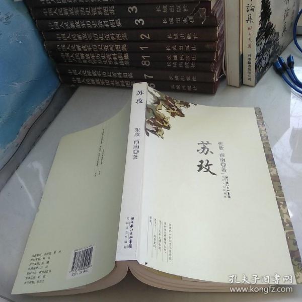 時代背景下的璀璨篇章，蘇最新章節(jié)速遞