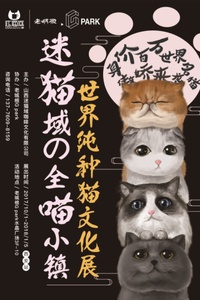 喵咪最新域，溫馨有趣的日常故事分享