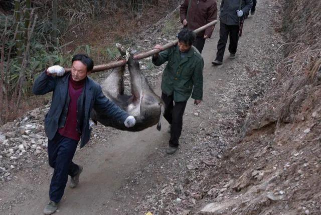 陜西最新傳染病情況分析與報告