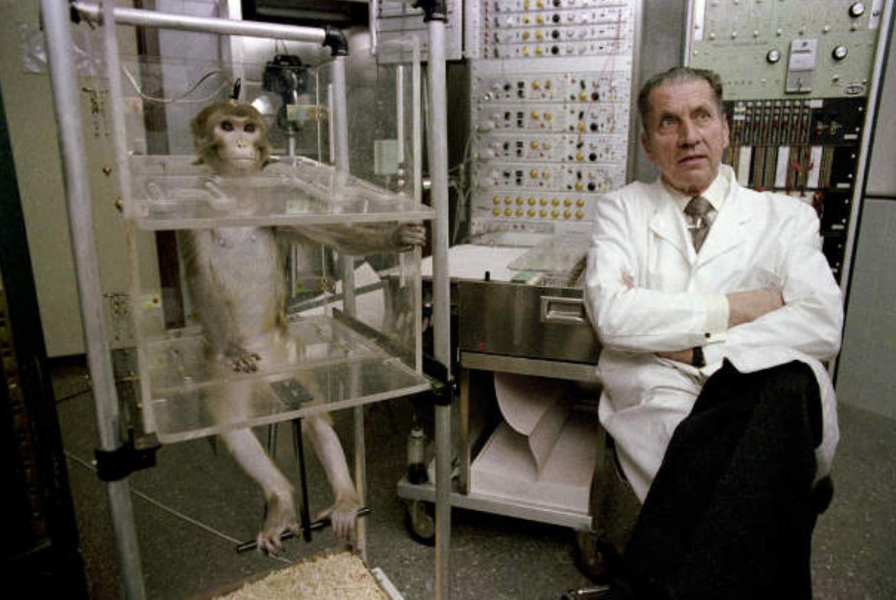 科學(xué)實(shí)驗(yàn)最新進(jìn)展，探索與創(chuàng)新觀點(diǎn)的碰撞與交融