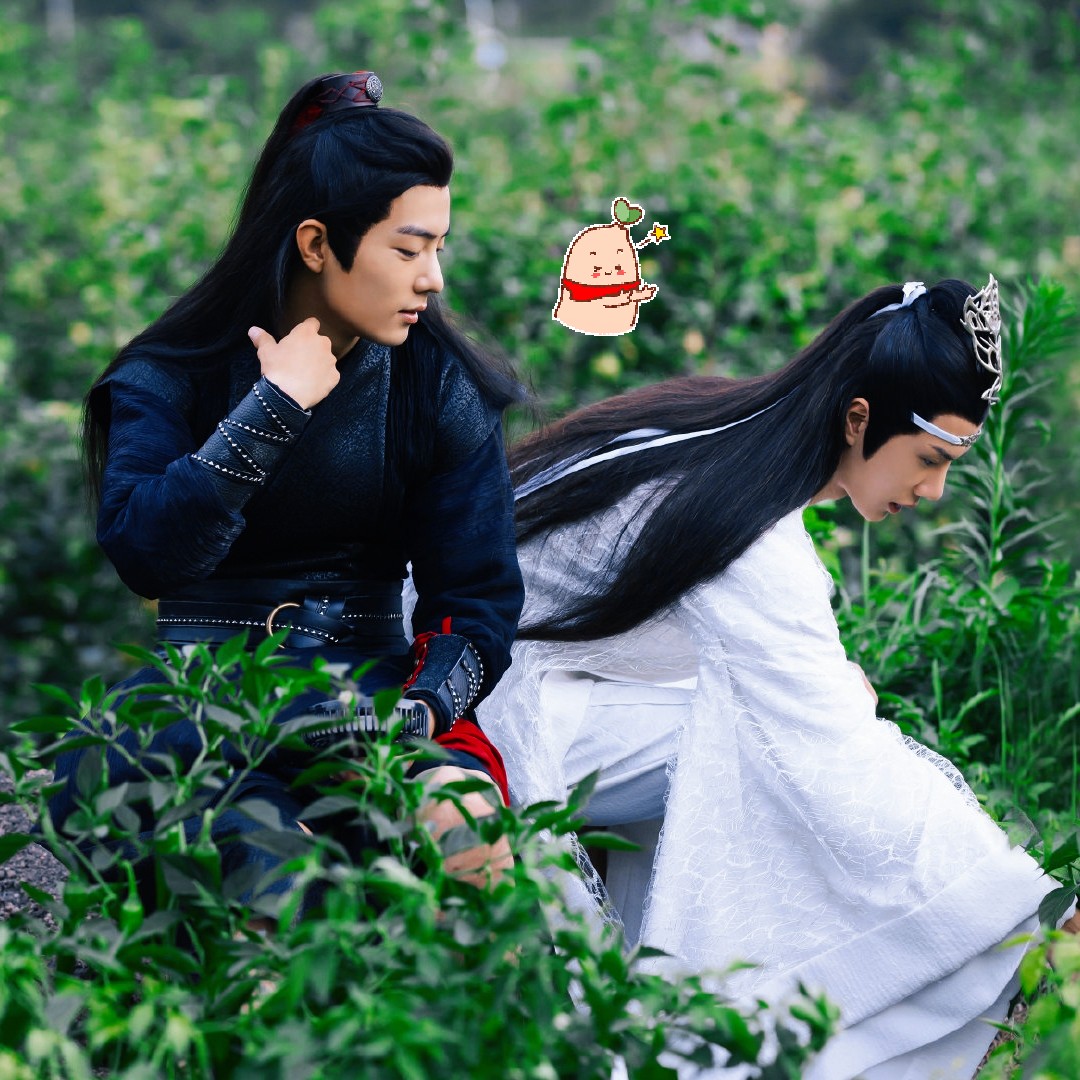 陳情令最新花，花海中的溫馨奇遇