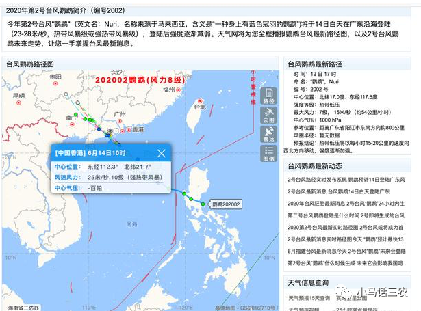 臺風(fēng)鸚鵡最新路徑探索與巷弄中的美食天堂揭秘