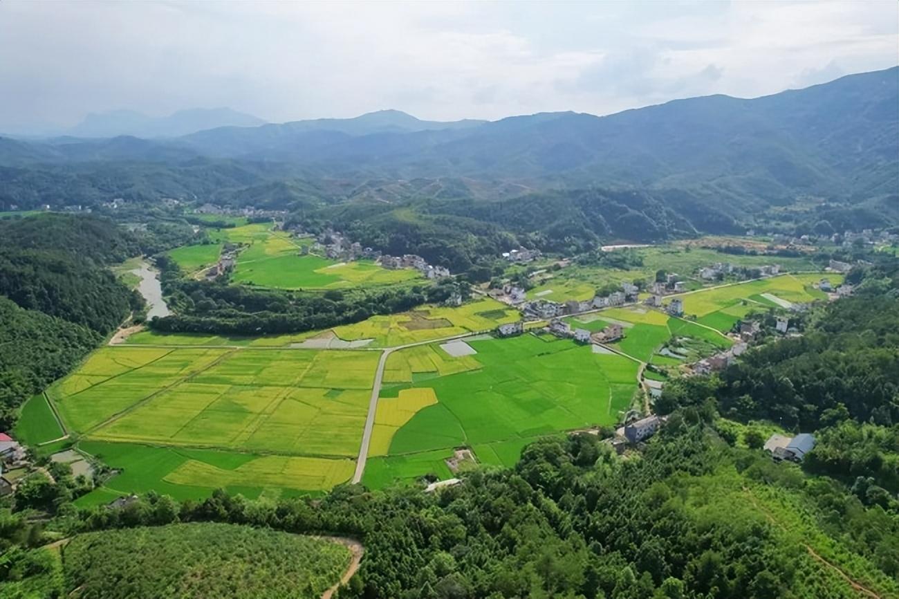 最新收稻機(jī)助力高效農(nóng)業(yè)收割??