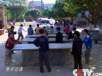 甲肝最新動態(tài)與自然美景之旅，探尋內(nèi)心的寧靜與平和