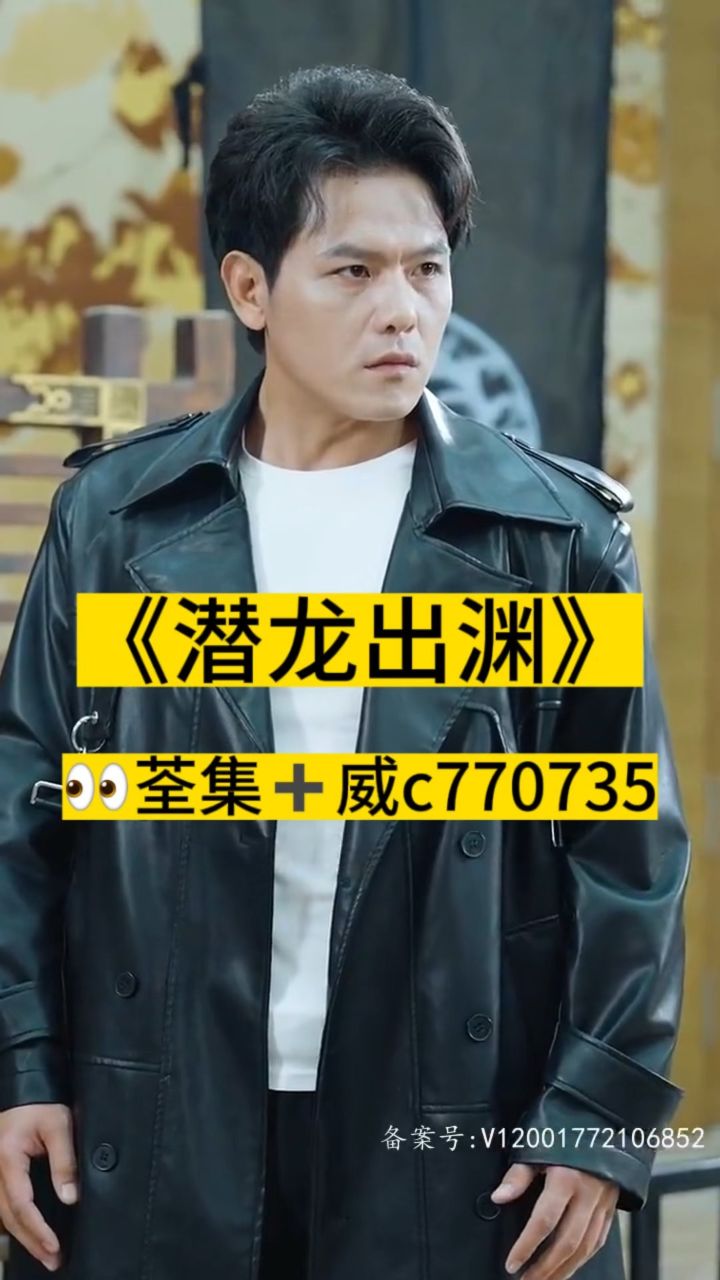 淘龍最新視頻，日常趣事與愛(ài)之陪伴