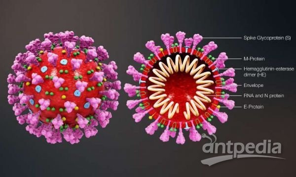 最新新冠心，變化中的學(xué)習(xí)，自信與成就的力量之路