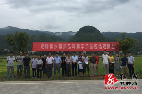 雙牌縣新時(shí)代新面貌，探尋最新發(fā)展與變化