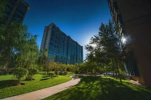 蒲城公園大境最新動(dòng)態(tài)更新