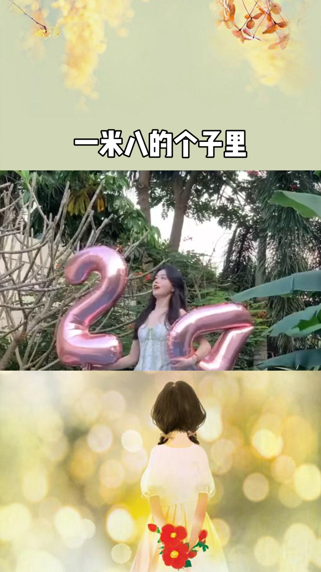 探尋奇幻世界的冒險與奧秘，公主一米八最新章節(jié)