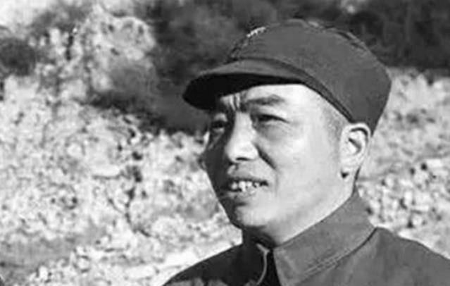 虎將秦衛(wèi)江的最新動態(tài)與日常趣事，溫情紐帶揭秘