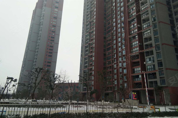 健龍果嶺公元最新動態(tài)更新，最新消息匯總